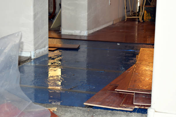Professional Flood Cleanup technician working in Cortland, NY
